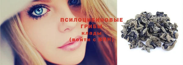 прущая мука Заводоуковск